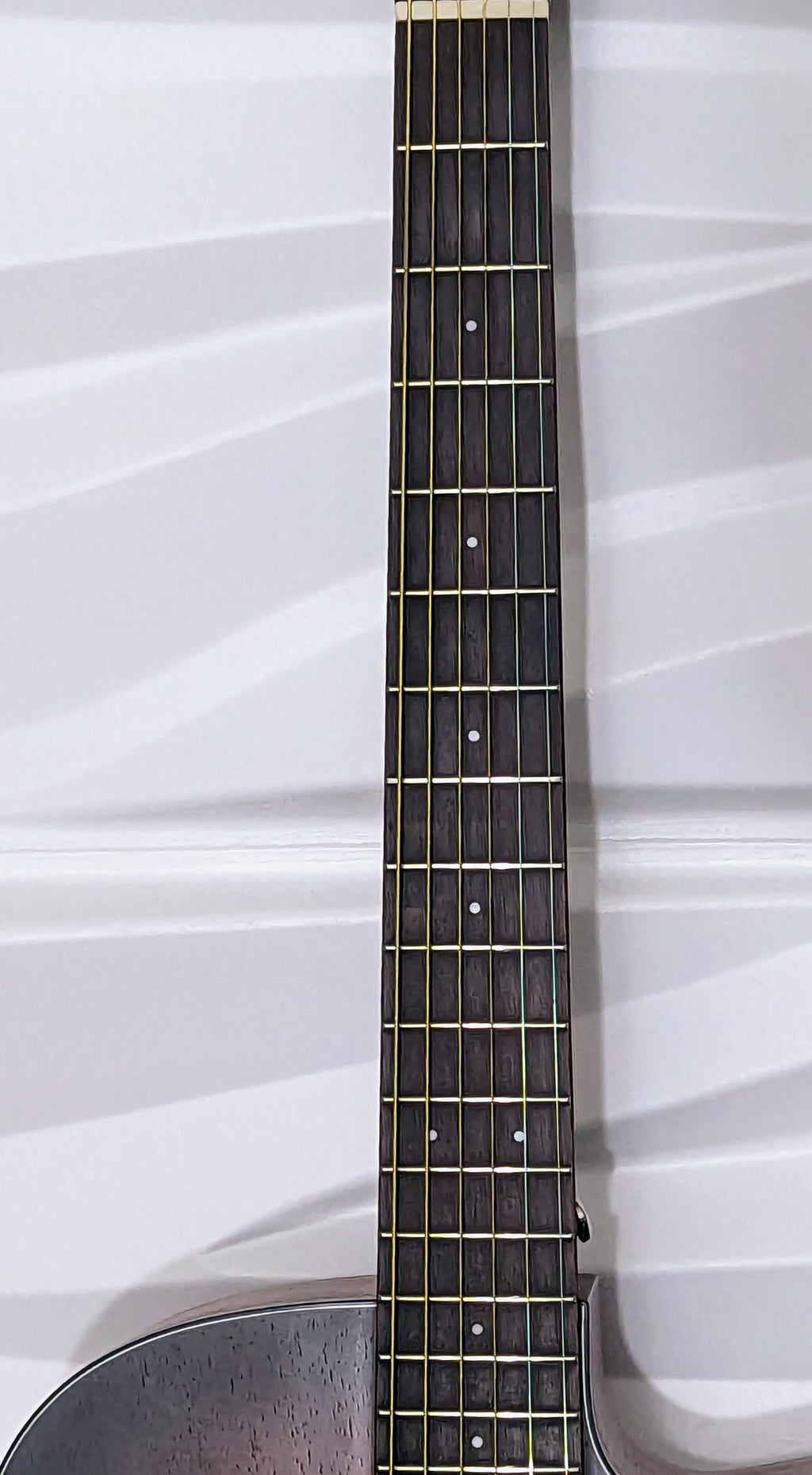 Cort Core-OC All Solid Blackwood- Core Series Acoustic Electric Guitar