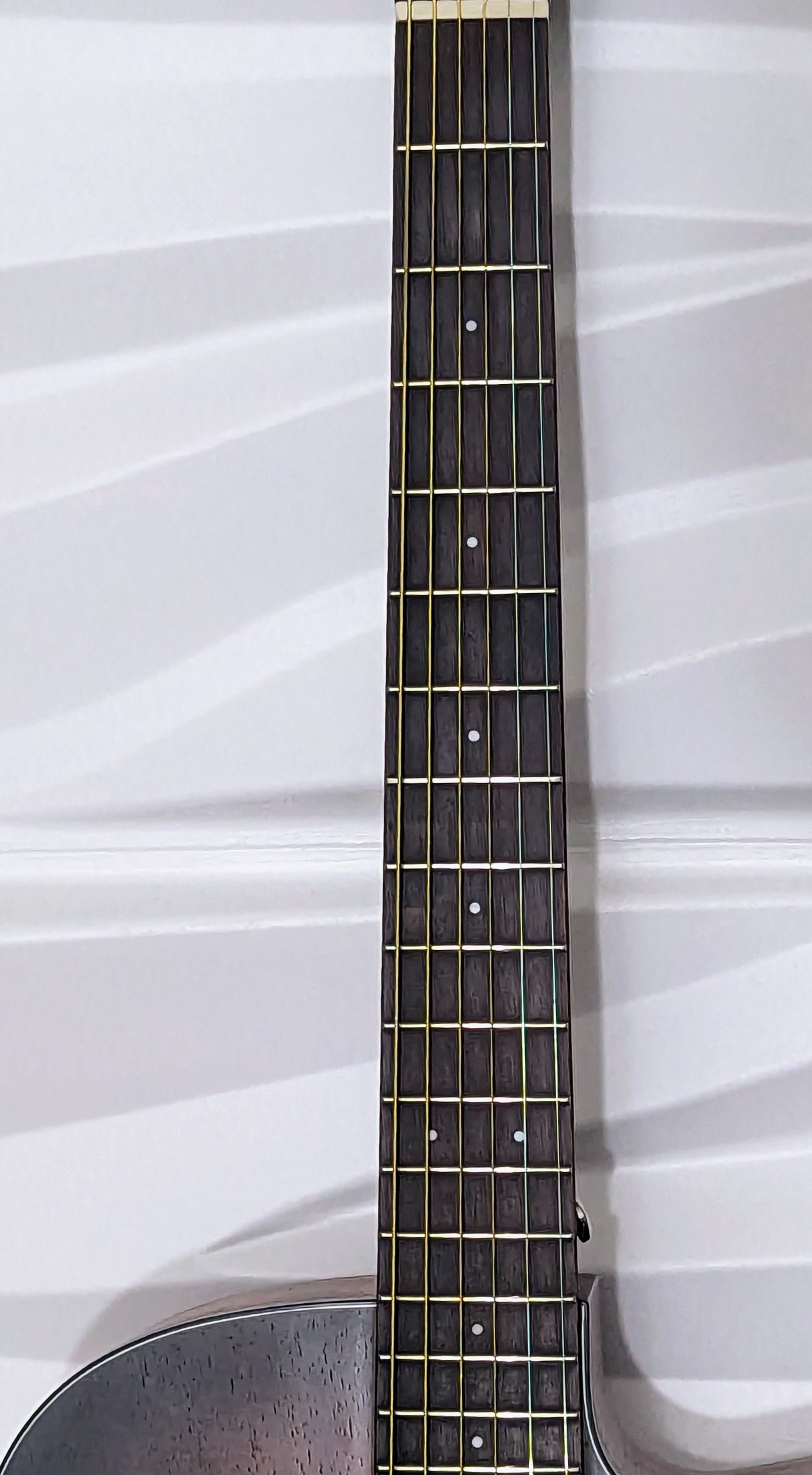 Cort Core-OC All Solid Blackwood- Core Series Acoustic Electric Guitar