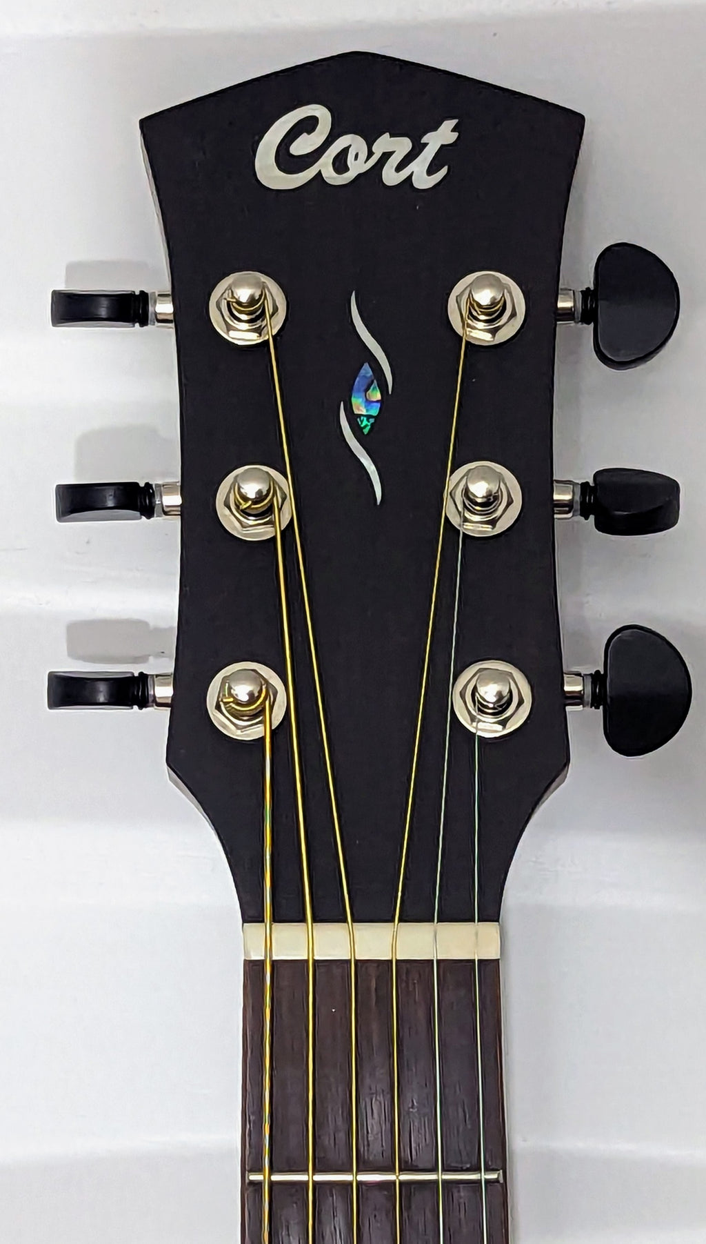 Cort Core-OC All Solid Blackwood- Core Series Acoustic Electric Guitar