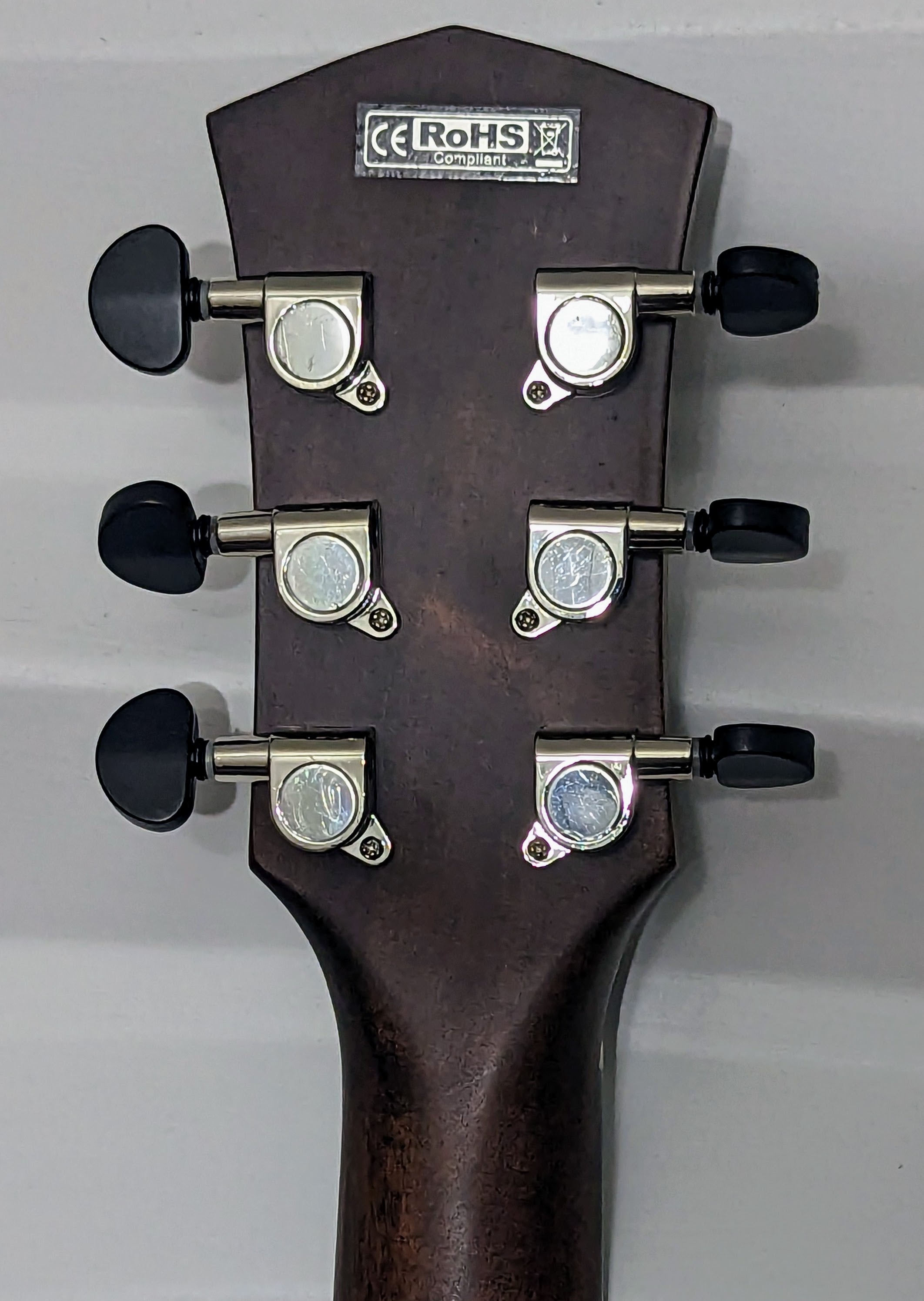 Cort Core-OC All Solid Blackwood- Core Series Acoustic Electric Guitar