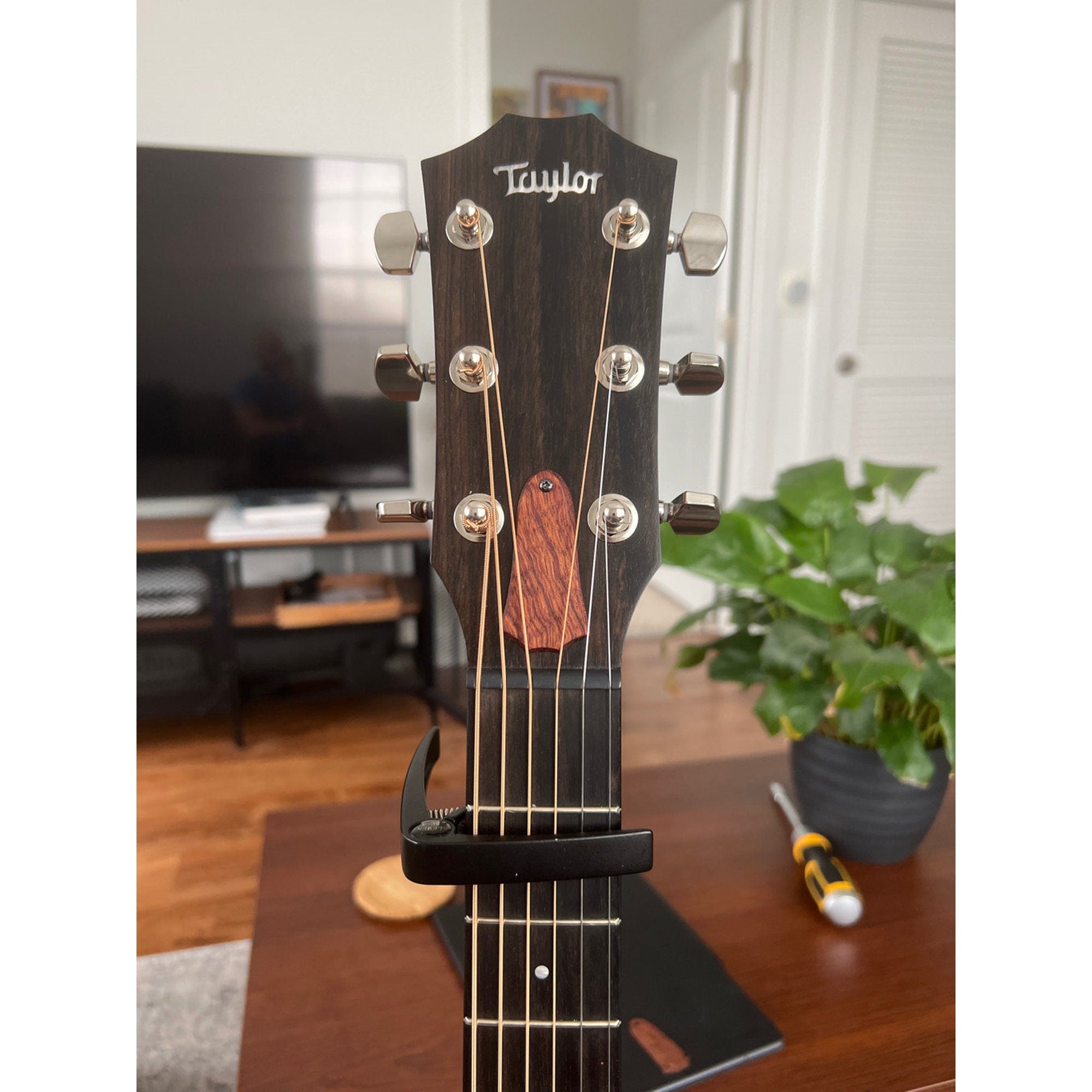 Handcrafted Rosewood Truss Rod Cover To Fit Taylor Guitars