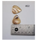 Turtle Shell Picks for Guitars and Mandolins – Highly Polished Custom Pick