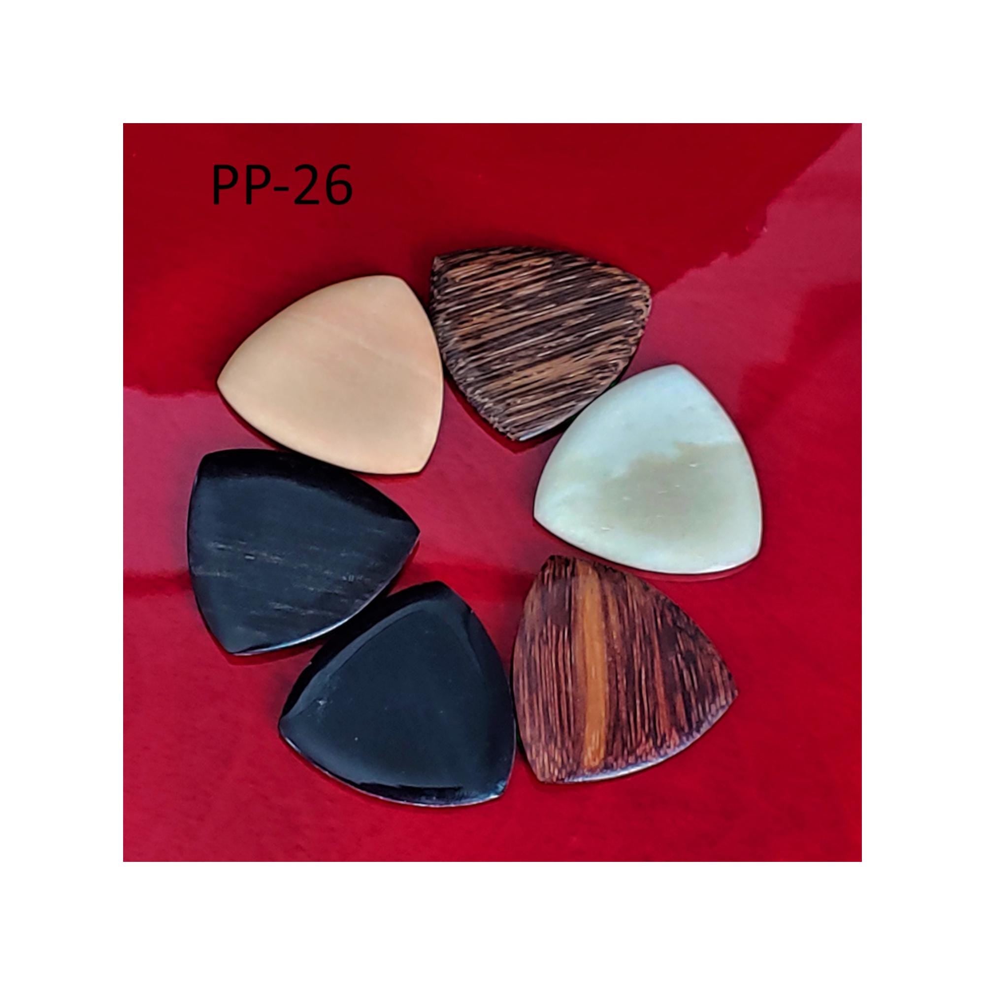Handmade Guitar Picks: Wood, Bone & Horn - Carved Pick Set of 6