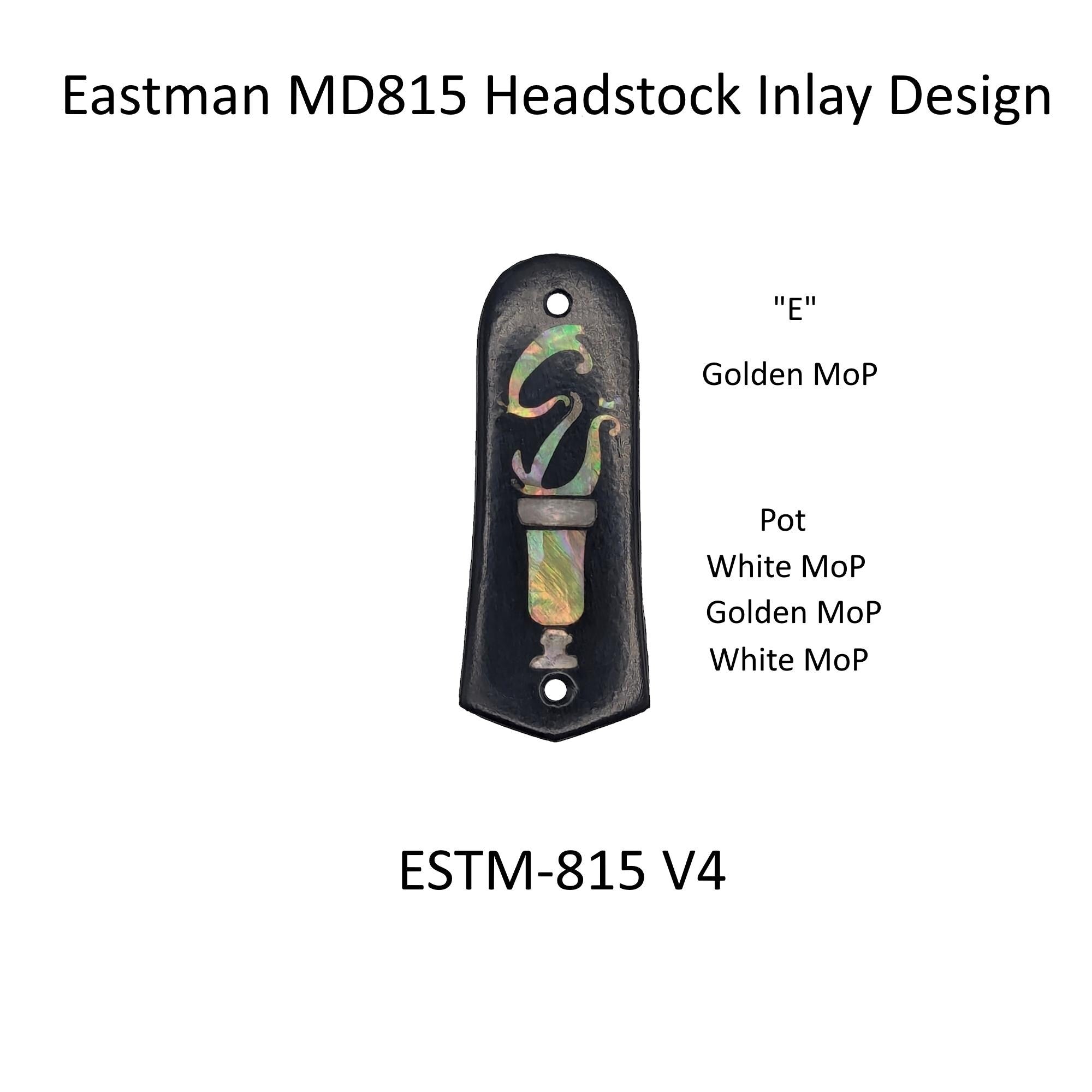 Eastman Mandolin Truss Rod Cover Fits MD815 Ebony Wood Abalone Mother of Pearl Inlay