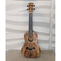 Spalted Maple Concert Ukulele with Abalone Rosette Professional Setup, Ready to Play